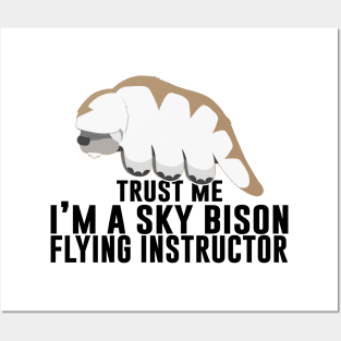 Trust Me. I'm A Sky Bison Flying Instructor Posters and Art
